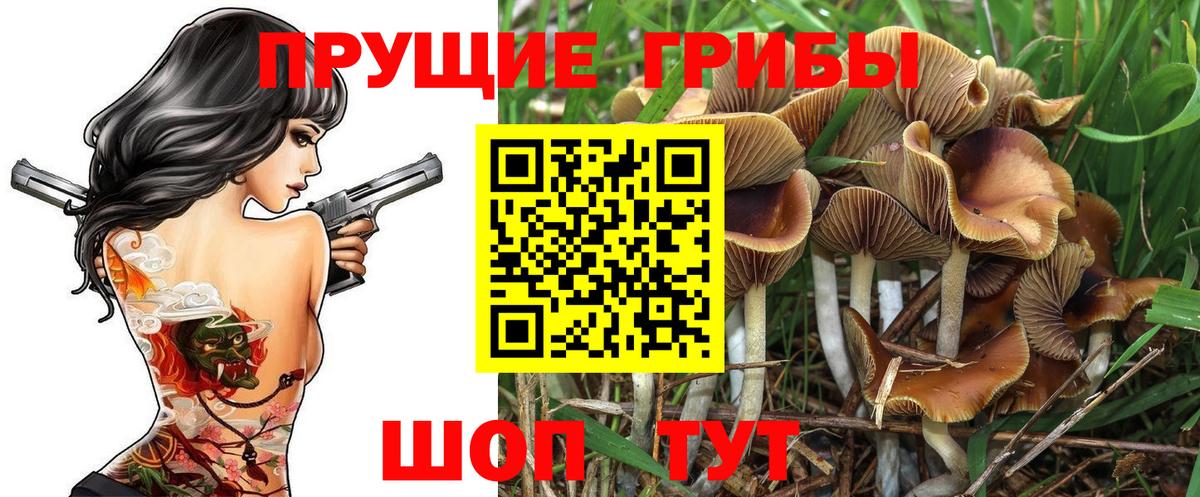 Старый Оскол  Псилоцибиновые грибы прущие грибы  купить наркотик  Вход с VPN 