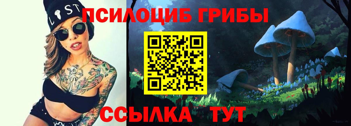 Галлюциногенные грибы GOLDEN TEACHER Старый Оскол